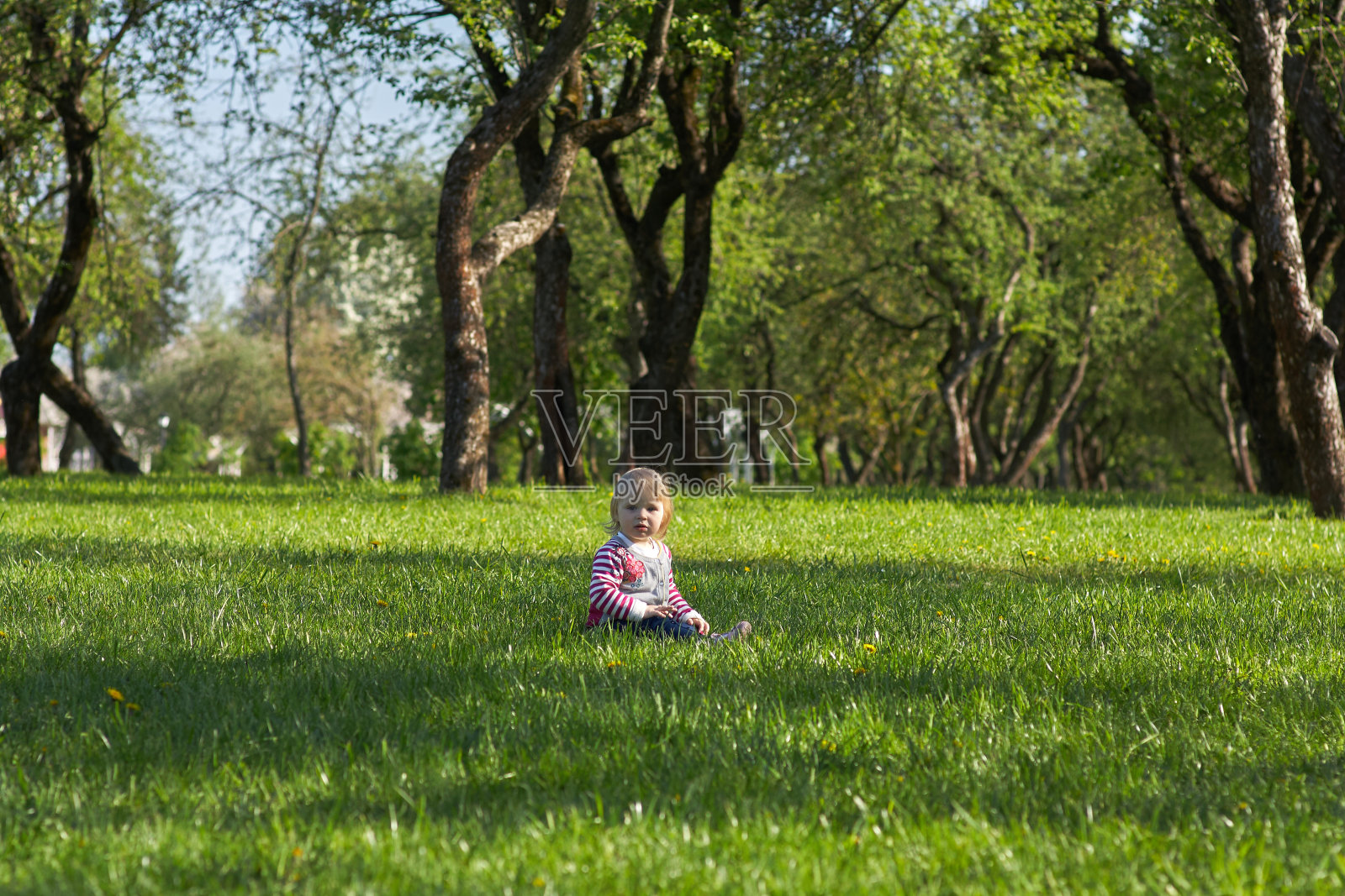 女孩坐在公园的绿草地上照片摄影图片