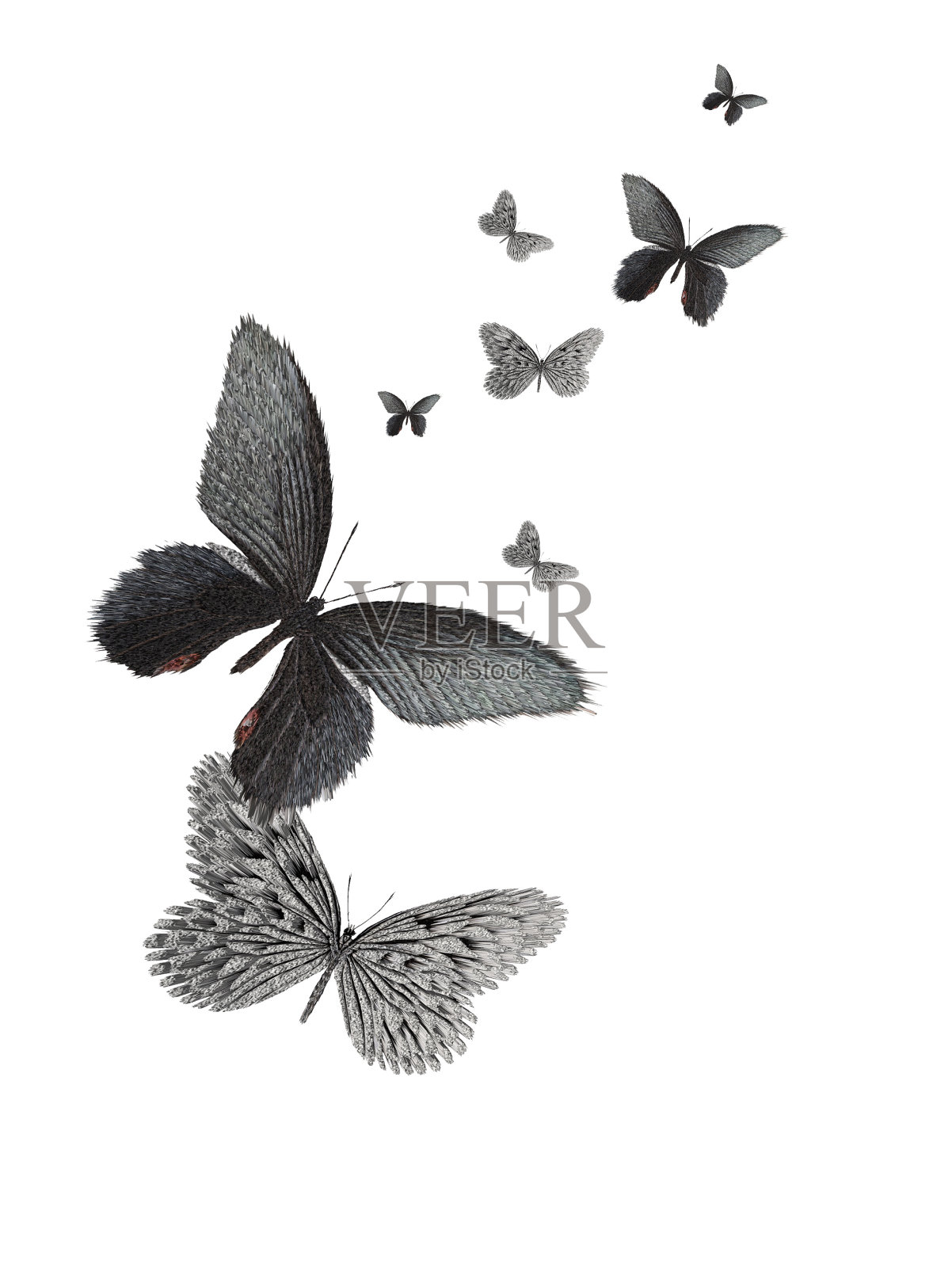 蝴蝶设计插画图片素材