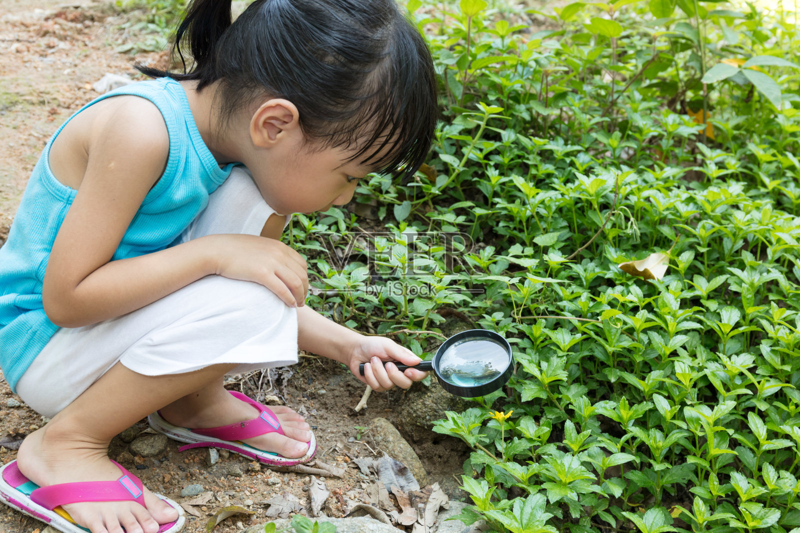 亚洲华人小女孩用放大镜探索草地照片摄影图片