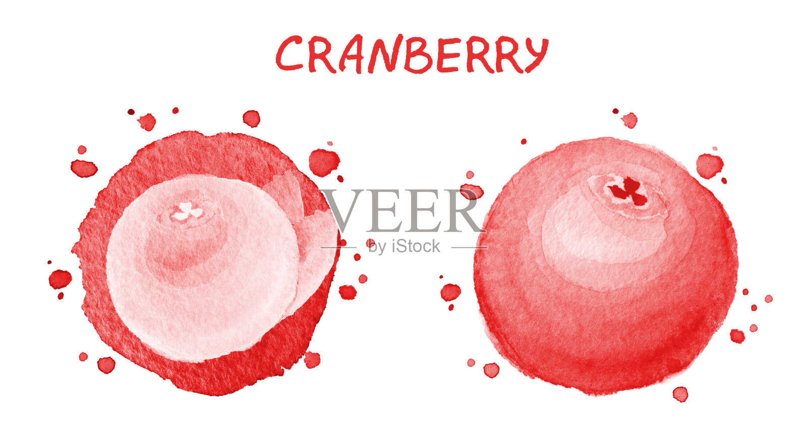 水果和浆果，蔓越莓。水彩插图插画图片素材