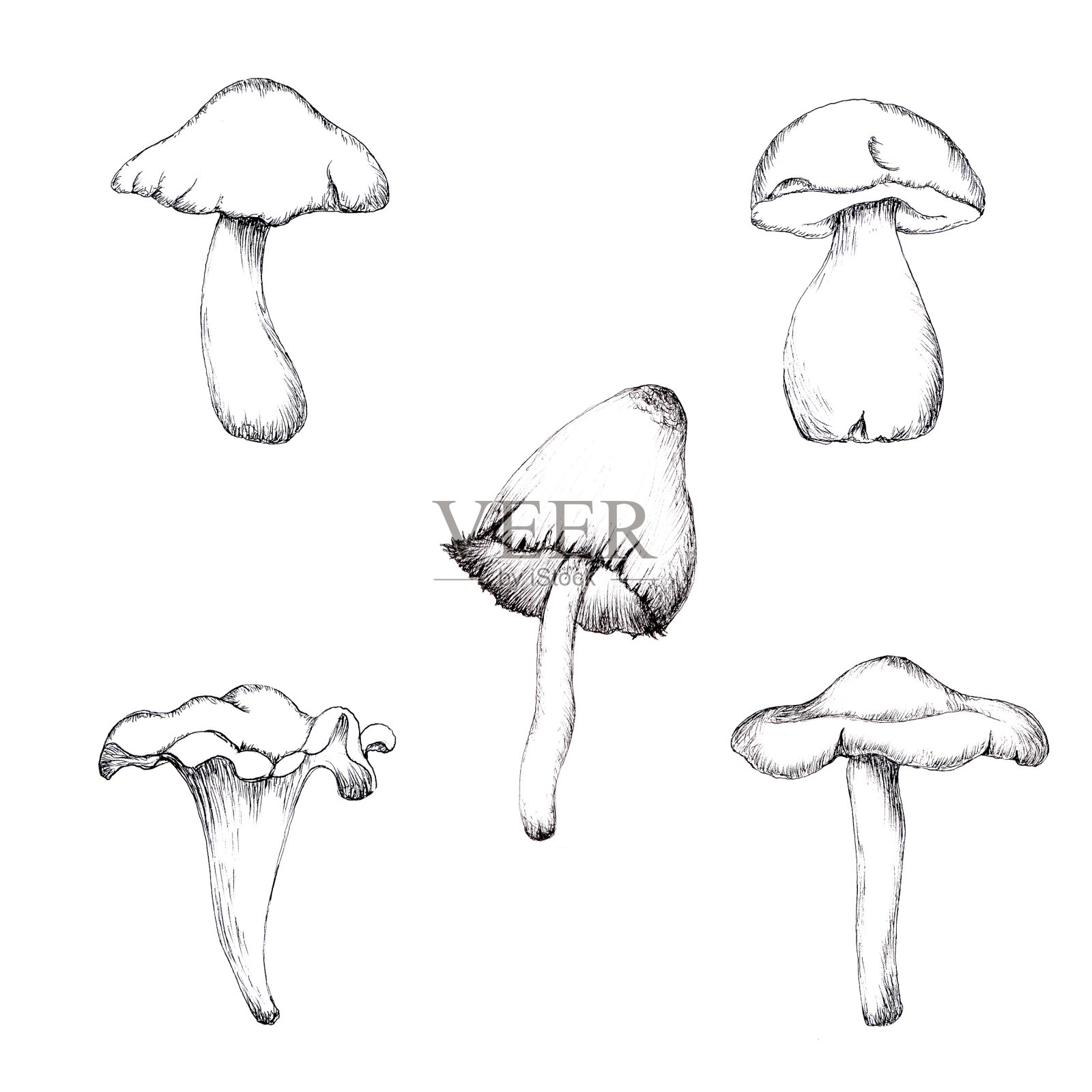 蘑菇集插画图片素材
