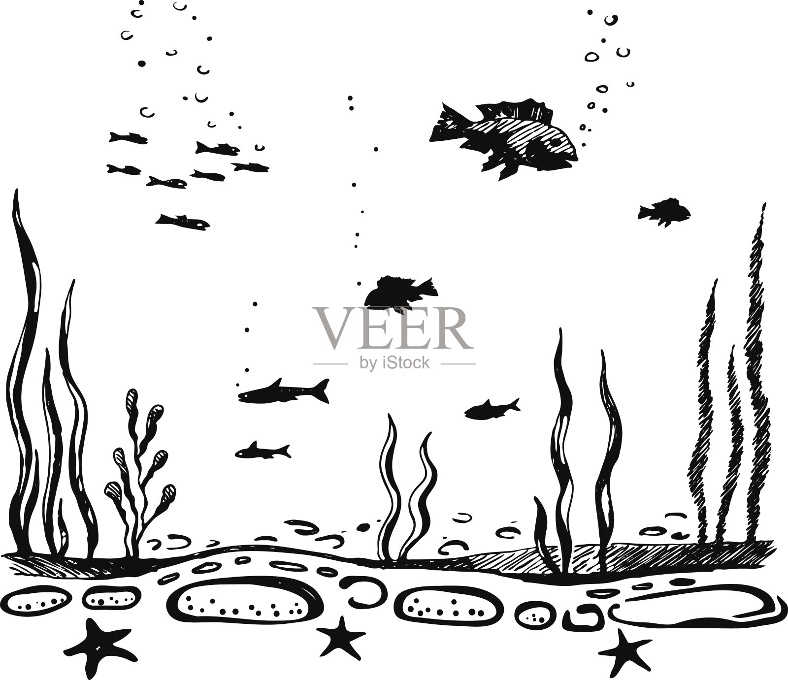 海底。动植物插画图片素材
