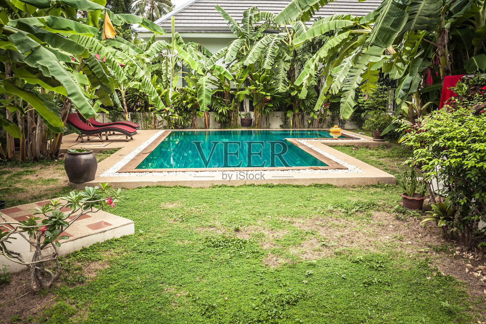 游泳池在私人热带别墅后院热带正式花园与棕榈树和绿松石水照片摄影图片
