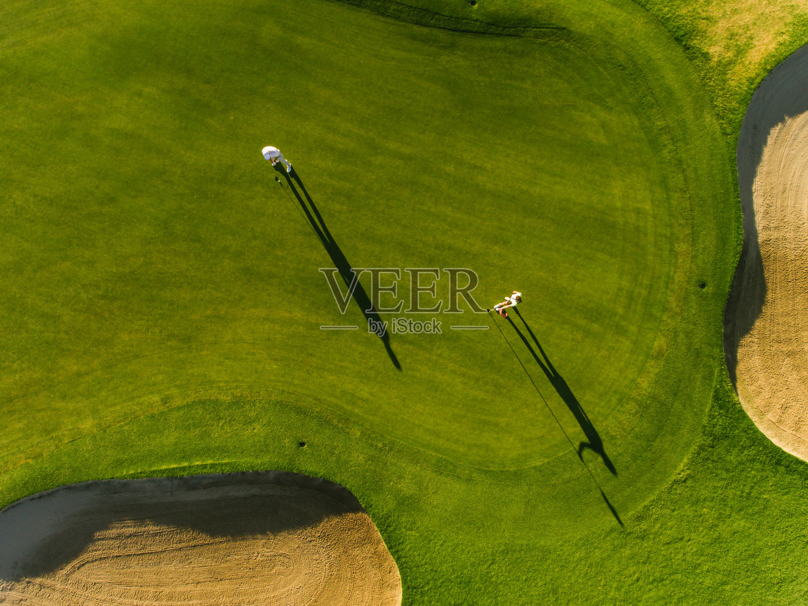在果岭上打球的职业高尔夫球手照片摄影图片