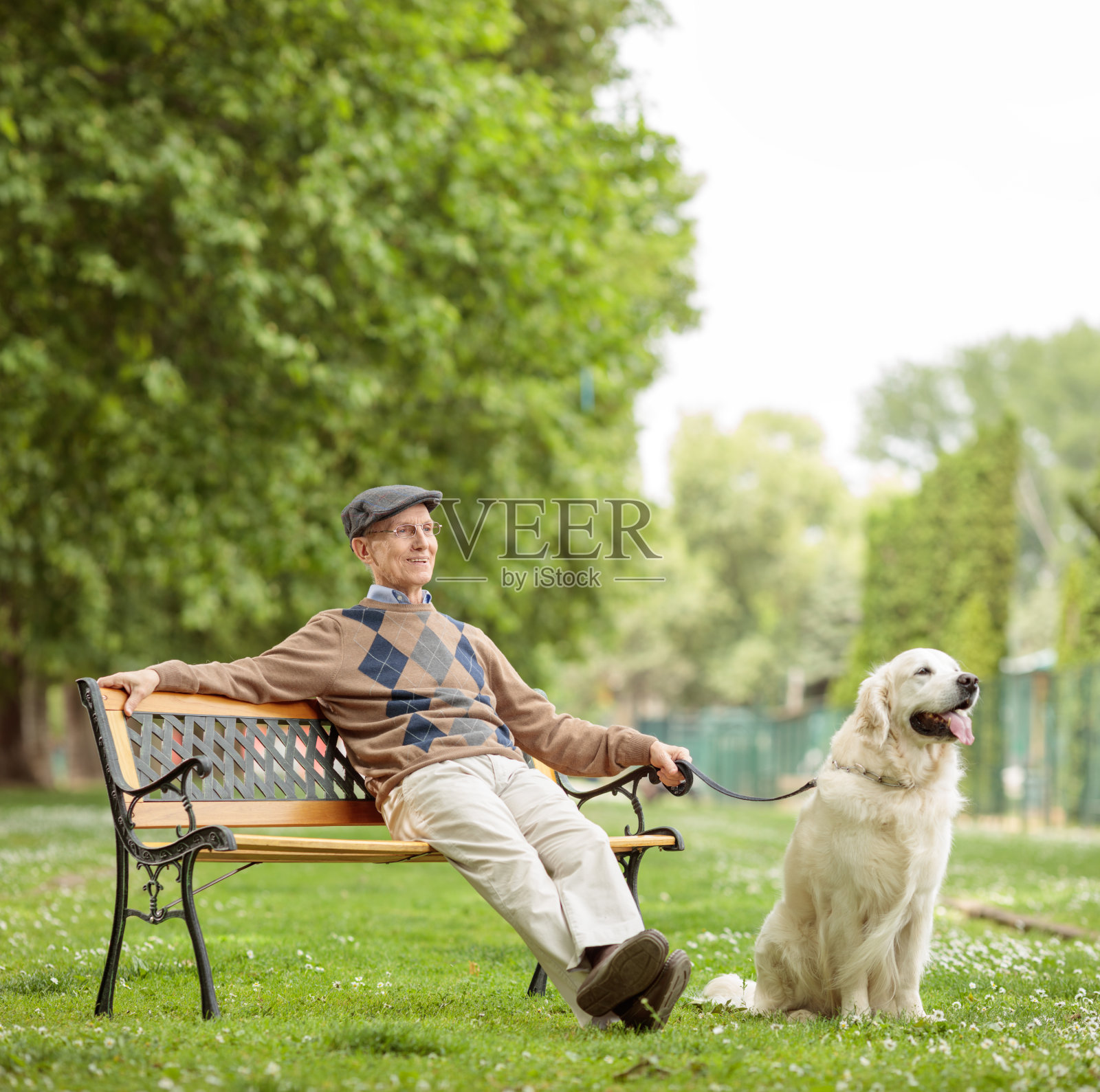 一个老人带着一只狗坐在公园的长椅上照片摄影图片