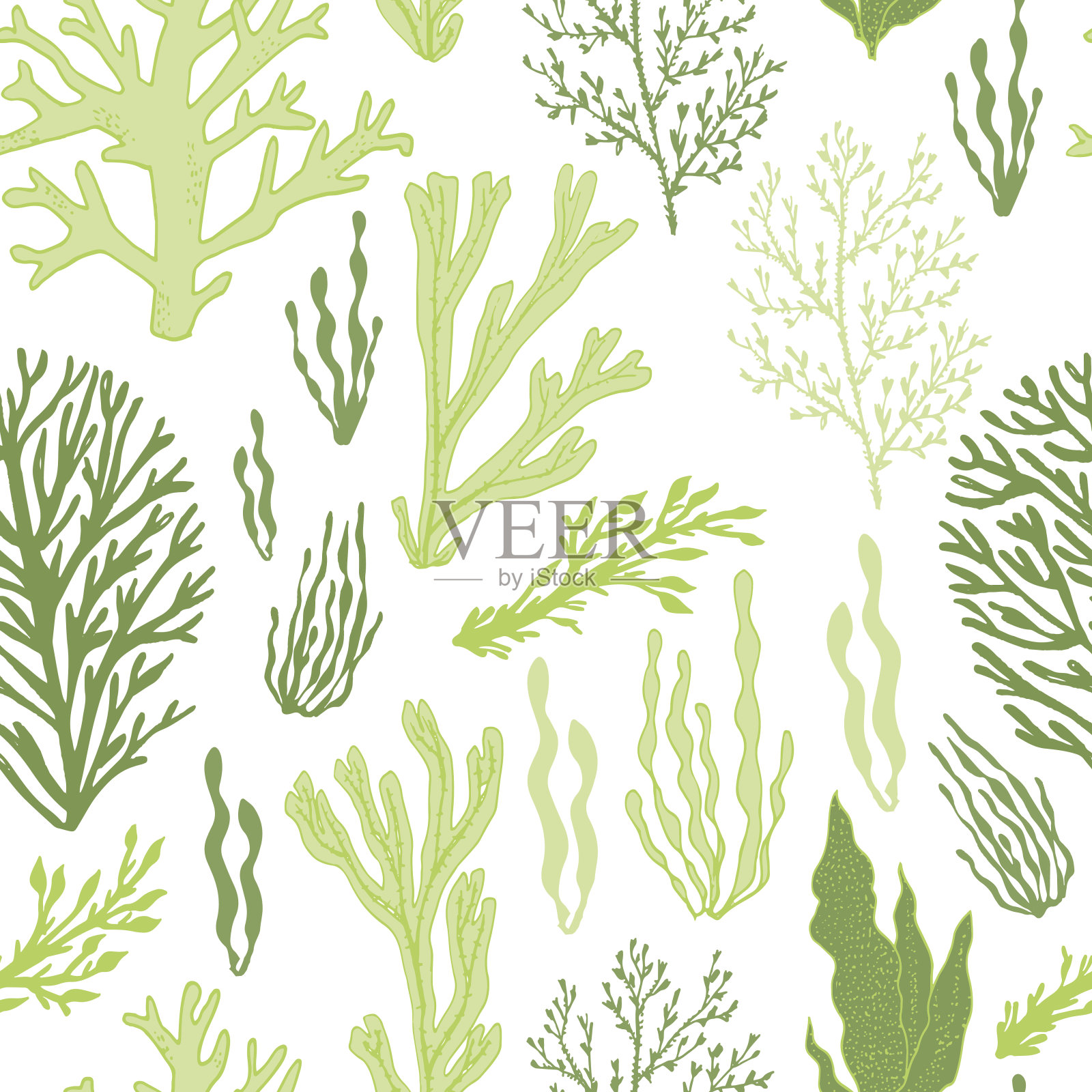 时髦的夏季海藻设计。无缝的矢量模式。插画图片素材