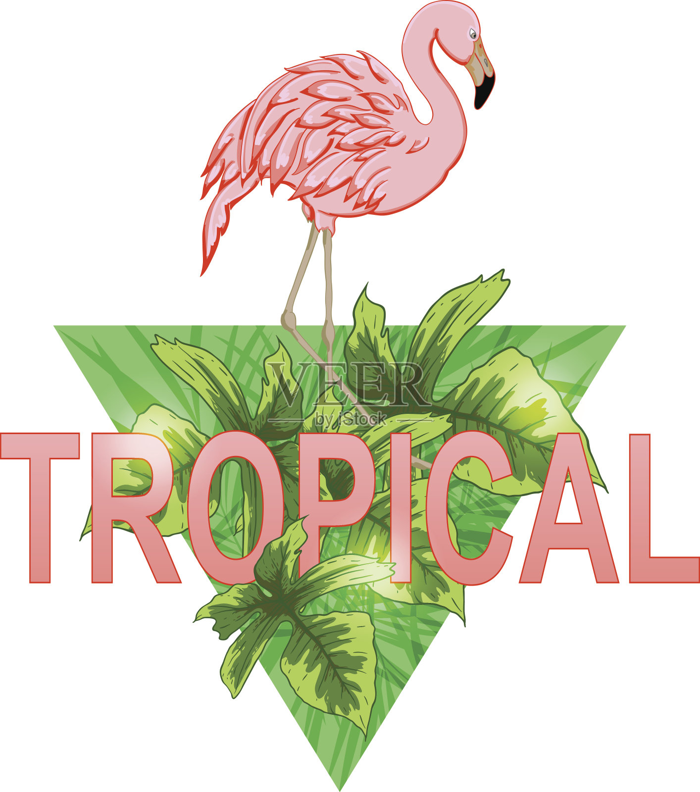 火烈鸟和热带树叶插画图片素材