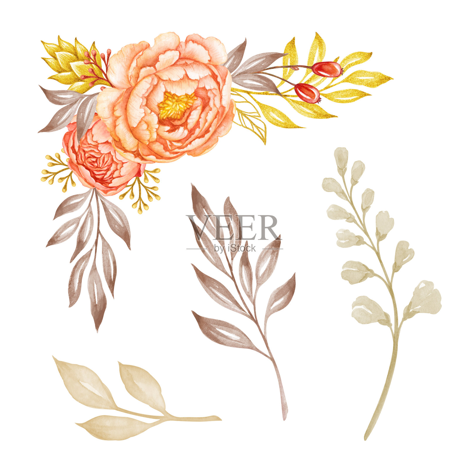 花的角落，设计元素，珊瑚和桃花牡丹花和金叶，水彩插图，孤立在白色背景插画图片素材