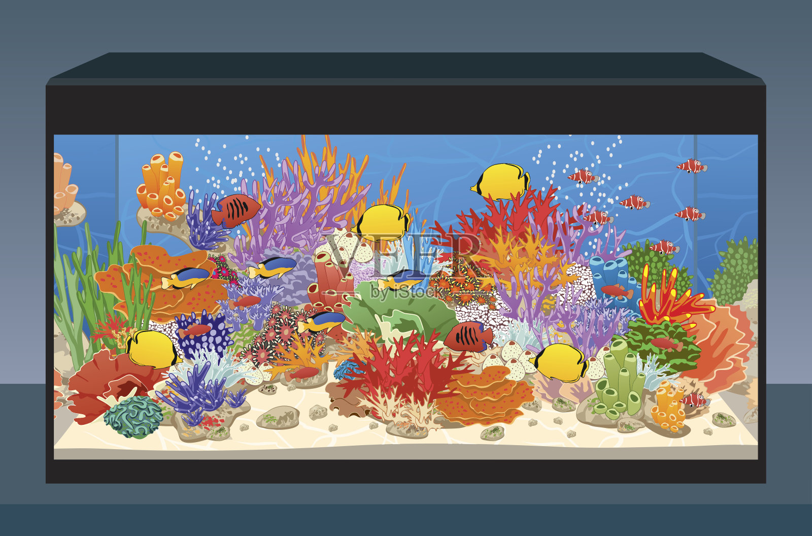 海礁咸水水族馆插画图片素材
