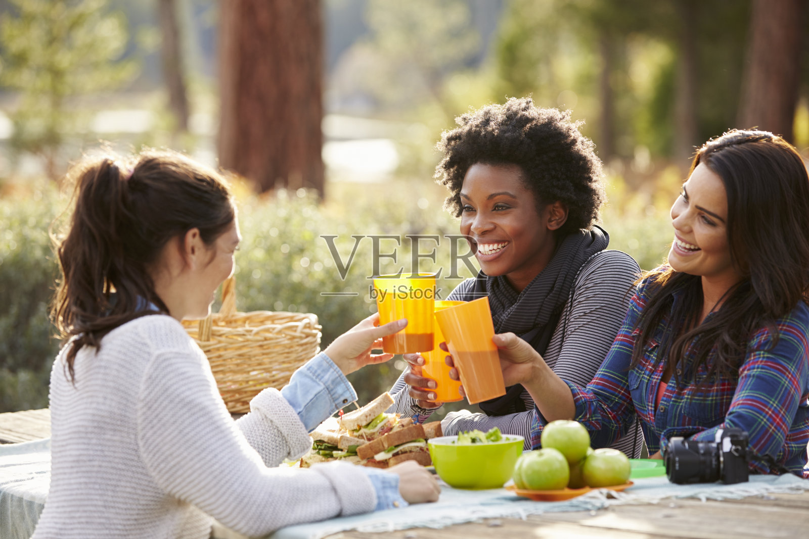 三个女性朋友在野餐桌上祝酒照片摄影图片