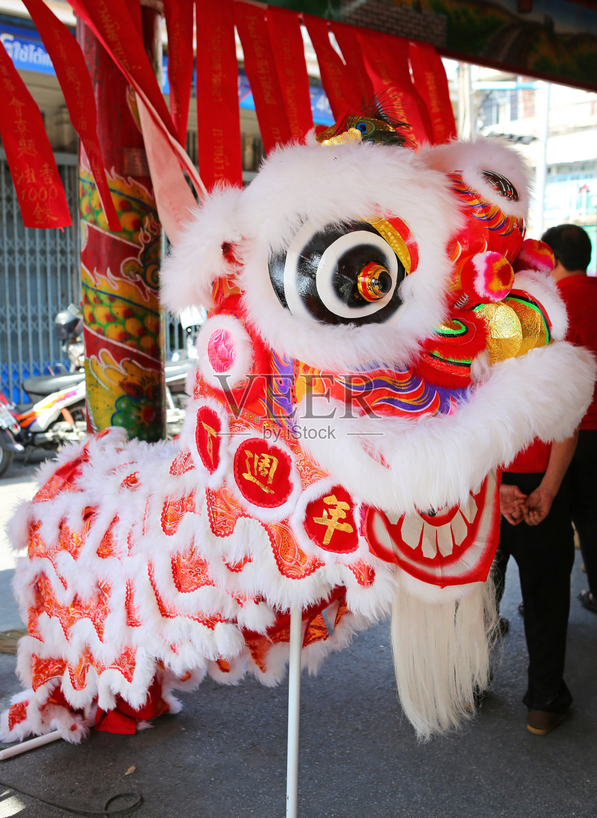 东方舞狮在中国新年的服装表演。照片摄影图片