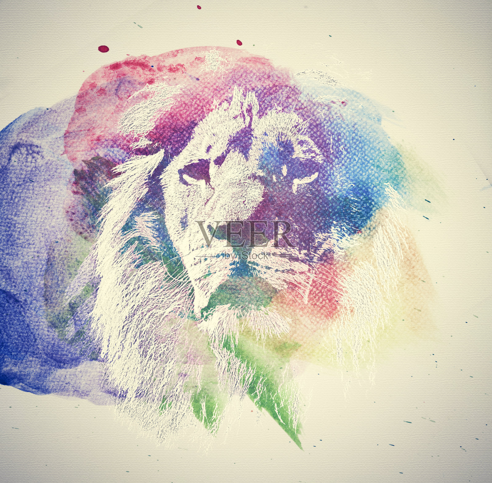 狮子水彩画。抽象的,色彩斑斓的艺术。插画图片素材