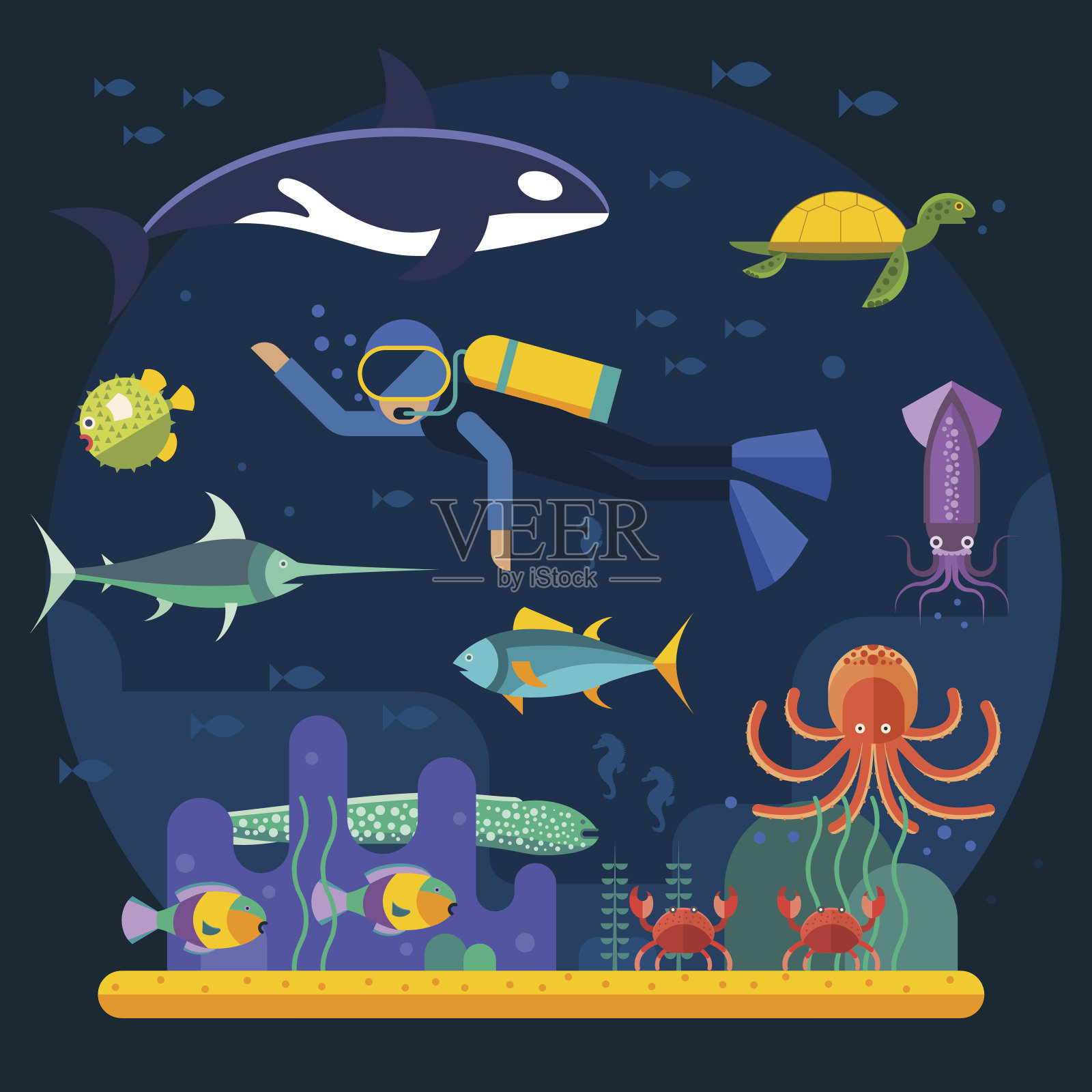 水下背景珊瑚花园与光泽的水面五颜六色的鱼插画图片素材