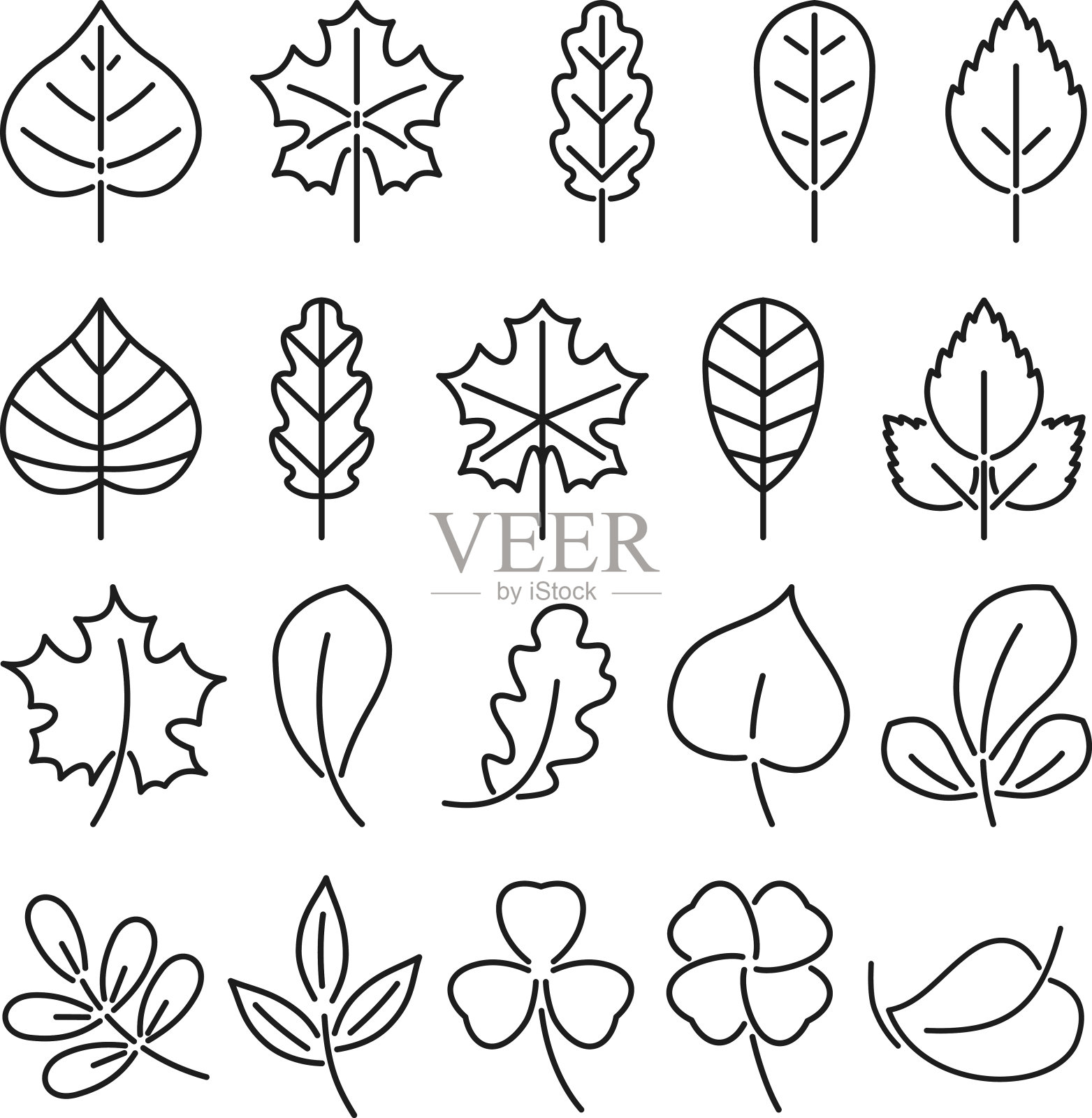 叶图标集。线性矢量插图孤立在白色背景。自然秋天植物。图标设计图片插画图片素材