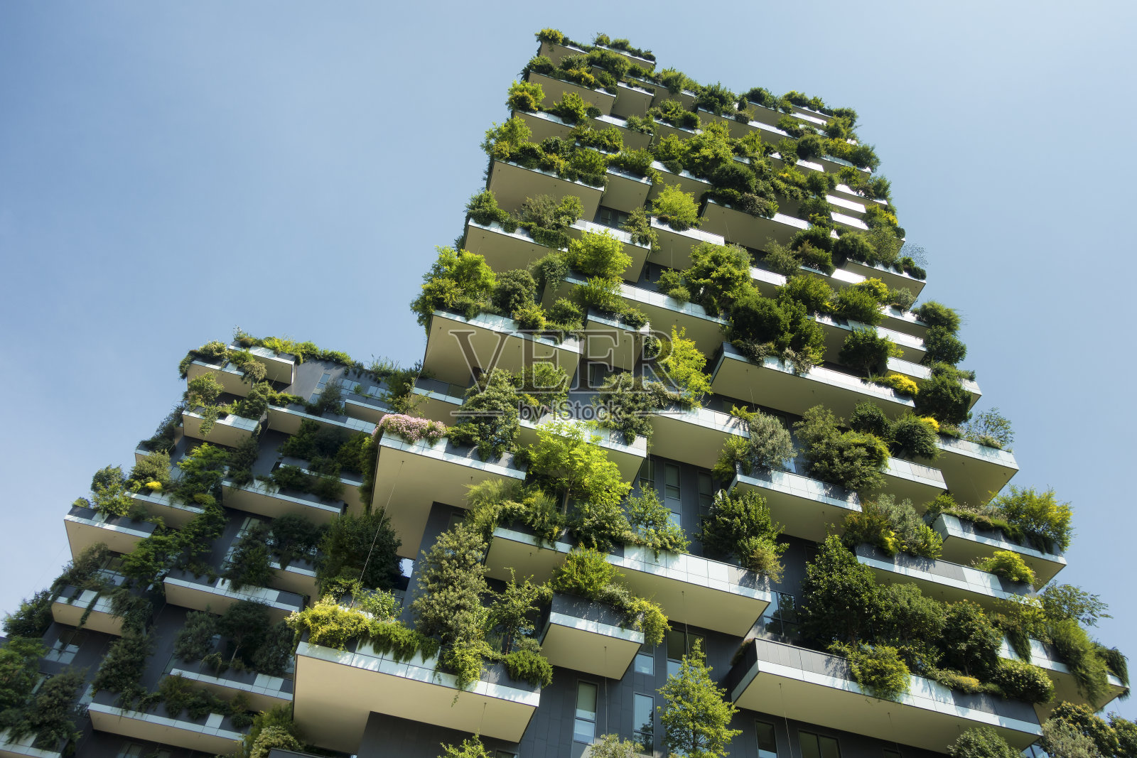 可持续发展的绿色建筑照片摄影图片
