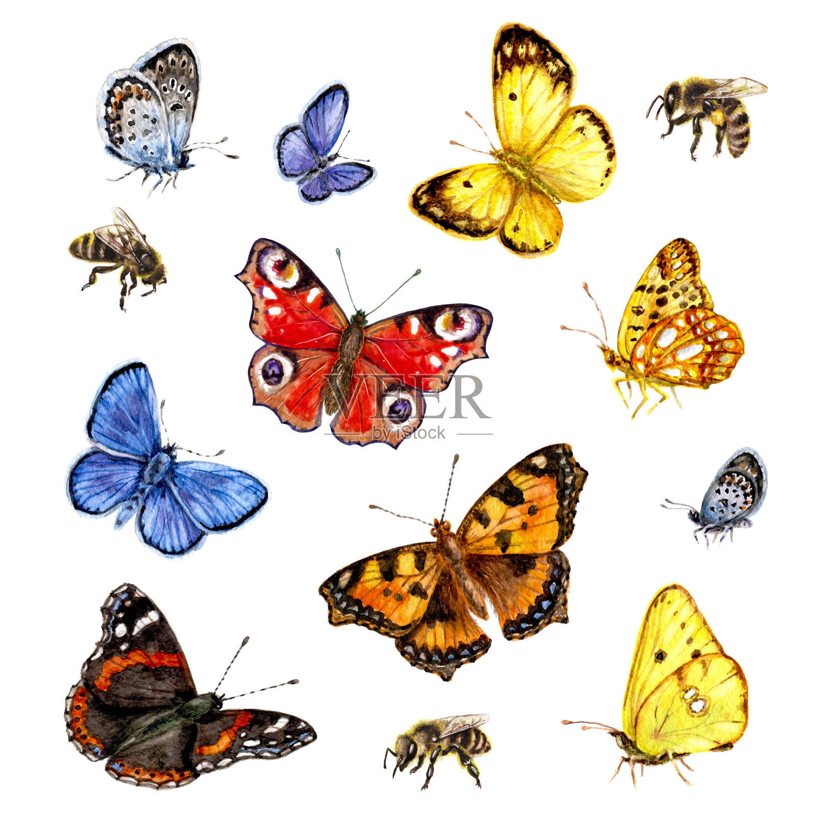 蝴蝶和蜜蜂的水彩画。插画图片素材