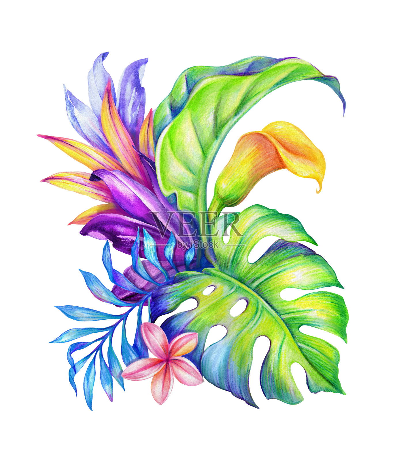 抽象的热带叶和花，丛林植物，水彩插图孤立在白色的背景插画图片素材