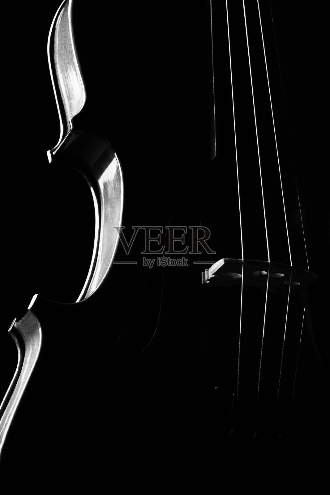 古典乐器小提琴的特写。弦乐器小提琴孤立在黑色背景与拷贝空间。照片摄影图片