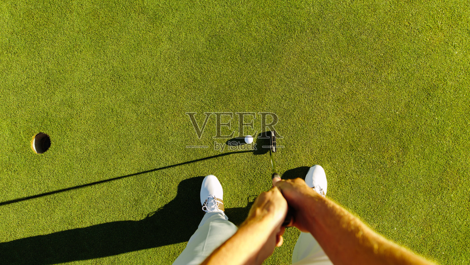 在果岭上击球的高尔夫球手照片摄影图片