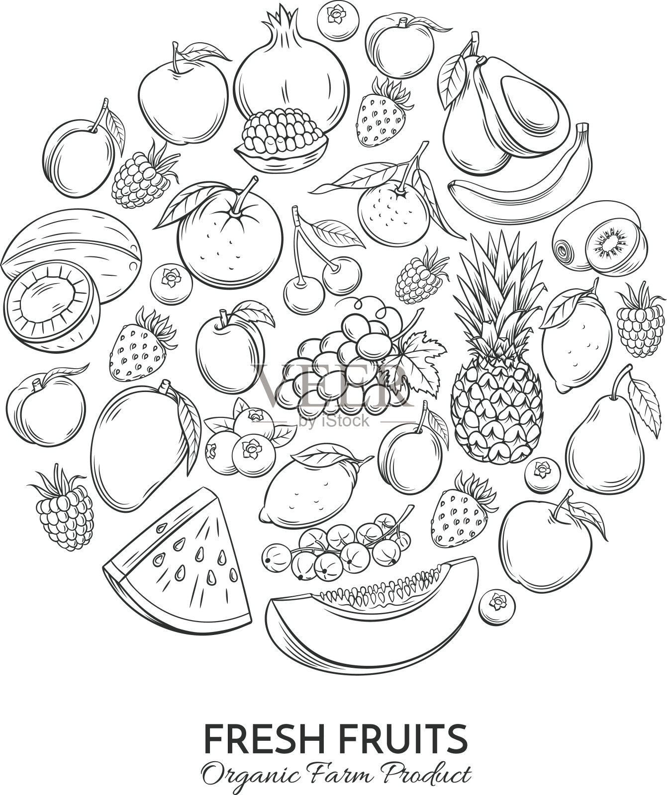 海报圆形构图与手绘水果插画图片素材
