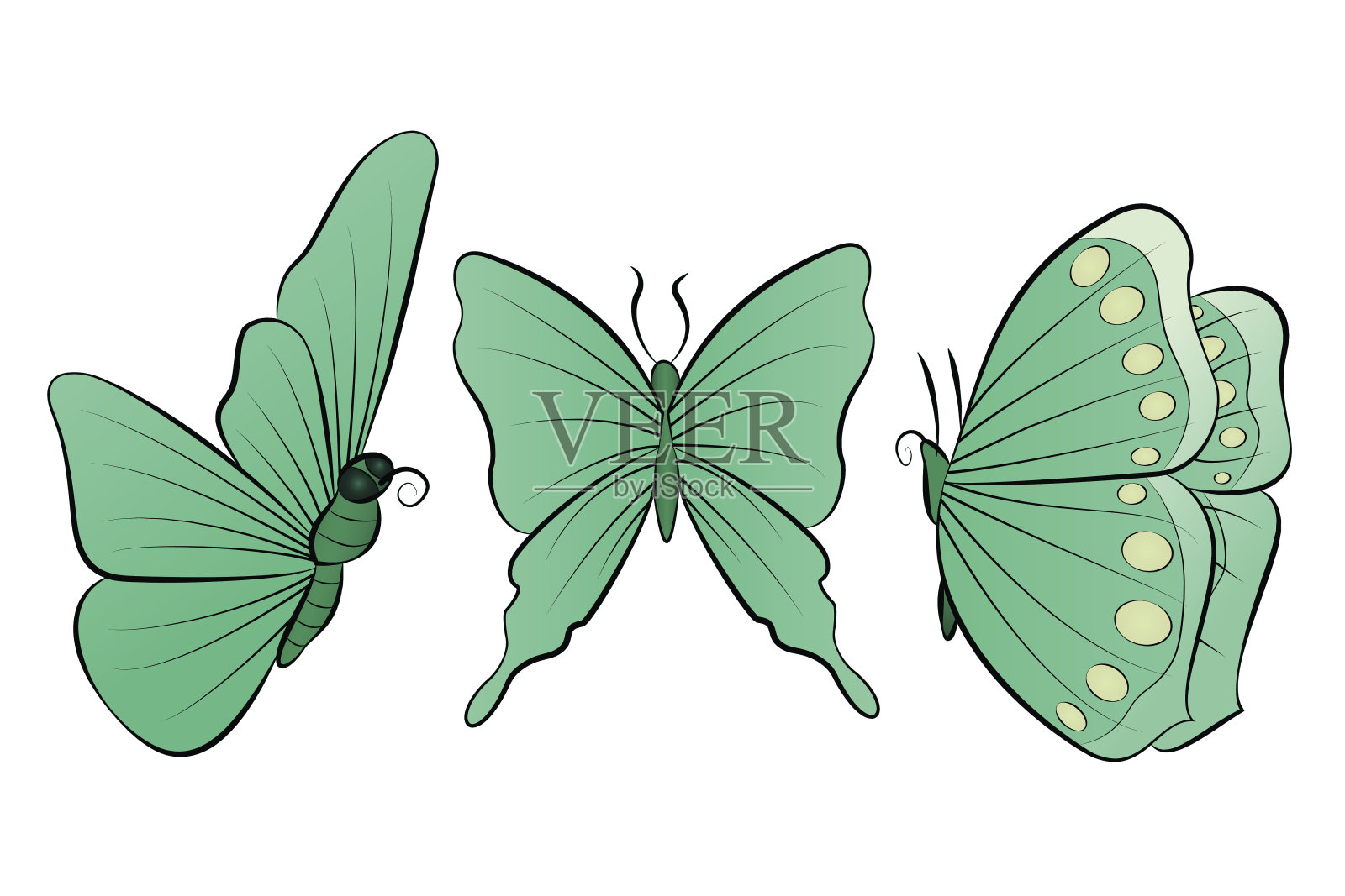 三只美丽的蝴蝶。春天的集合。插画图片素材