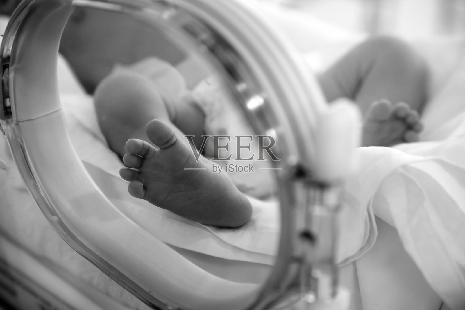在保温箱里的新生婴儿的脚照片摄影图片