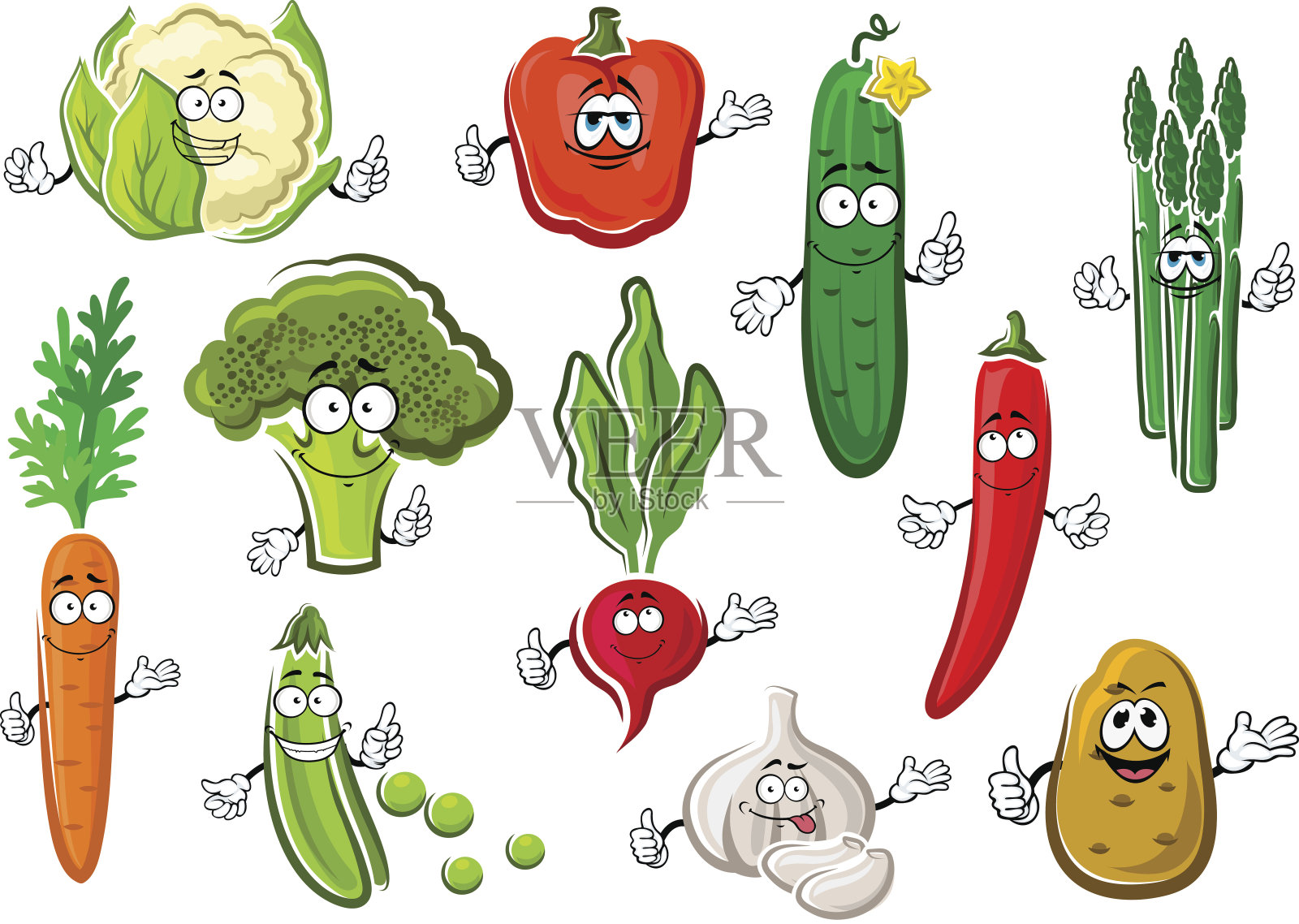 健康成熟的农场蔬菜集插画图片素材