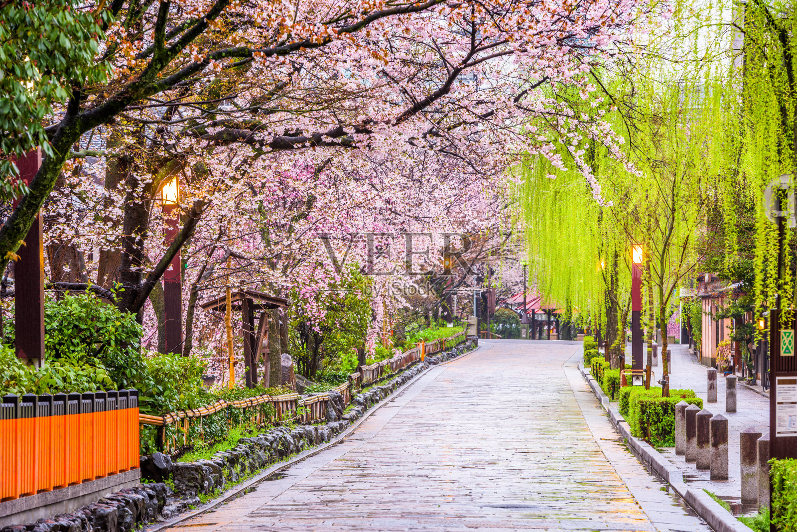 《京都议定书》在春天照片摄影图片