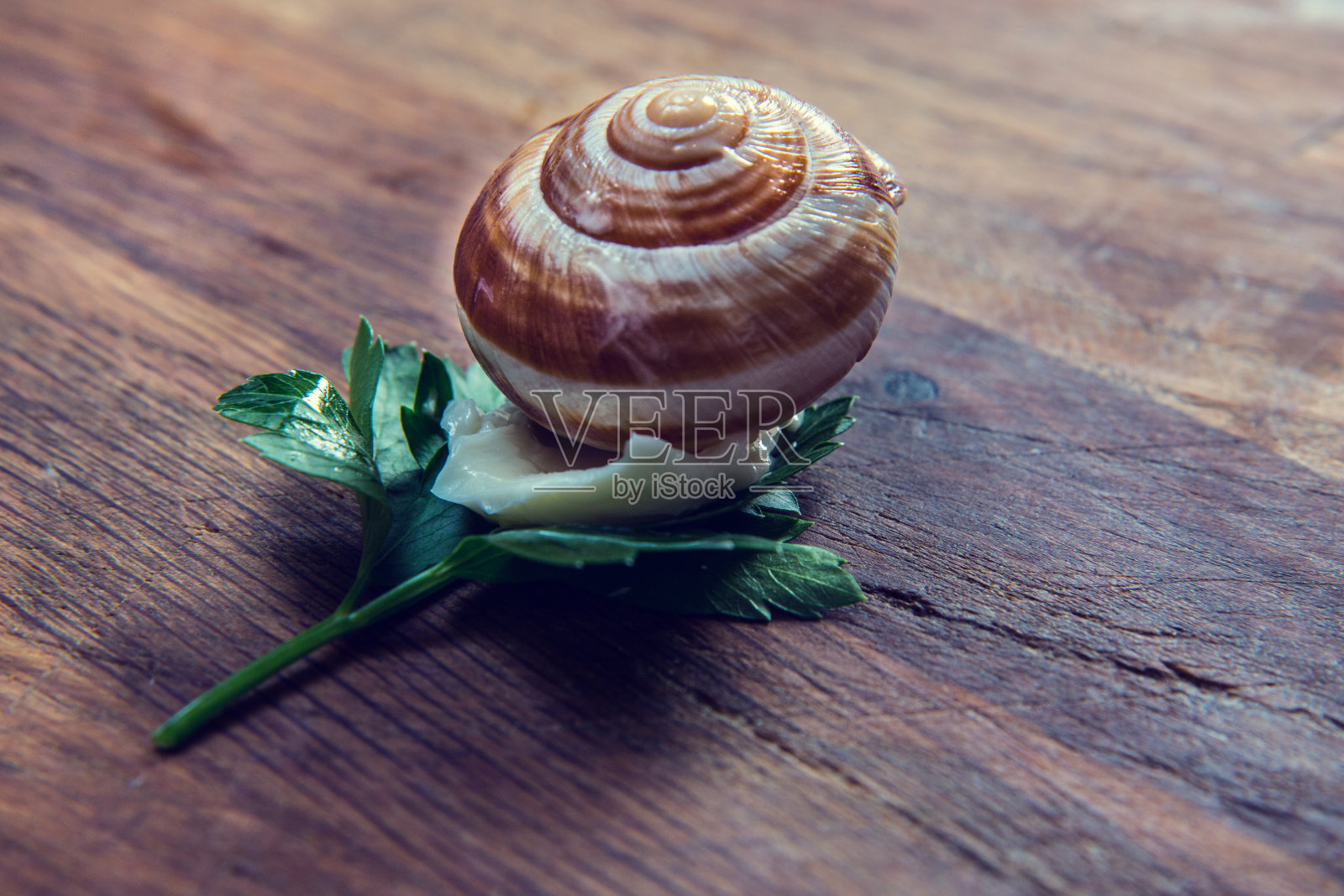 奶油蜗牛和欧芹。照片摄影图片