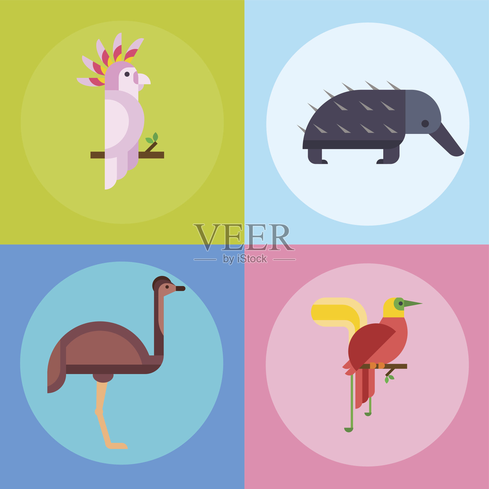 澳大利亚野生动物卡通流行的自然人物扁平风格和澳大利亚哺乳动物澳大利亚原生森林收集矢量插图插画图片素材