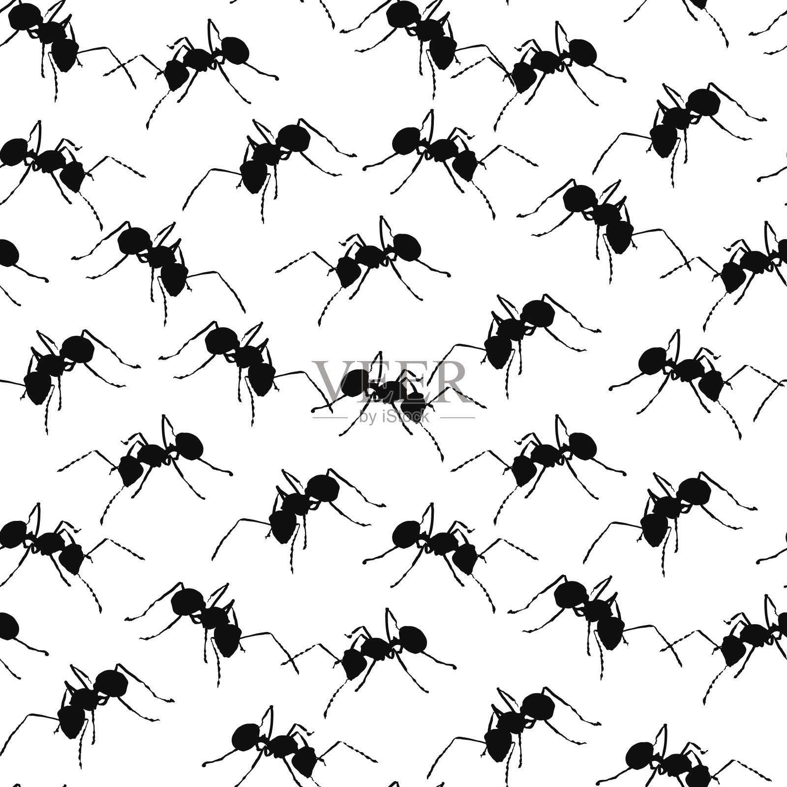 白色无缝背景上的黑蚂蚁。设计元素图片