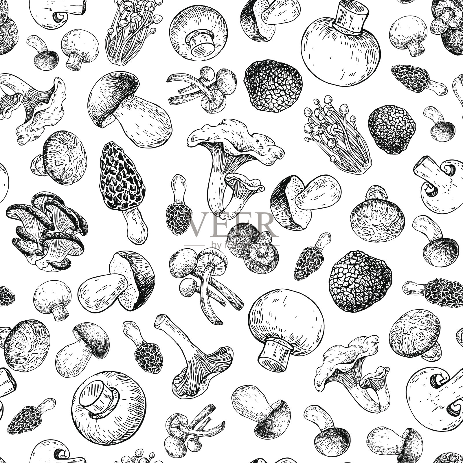 蘑菇手工绘制矢量seamlees模式。孤立素描食物绘画背景。设计元素图片
