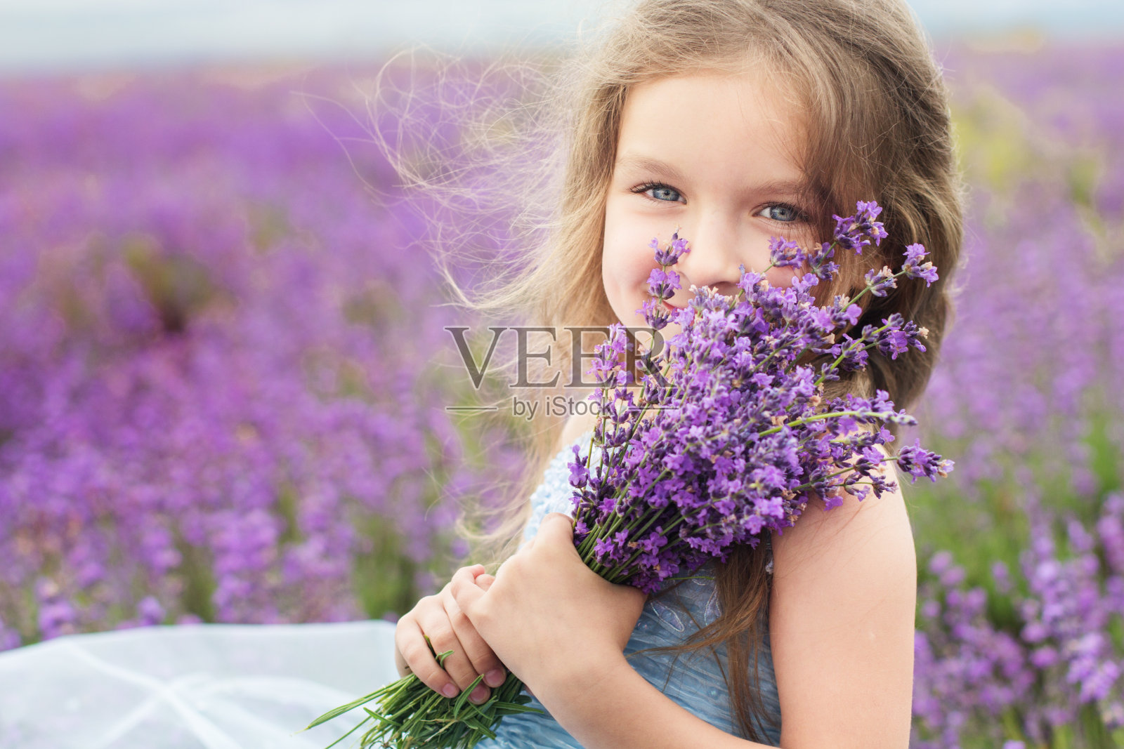 快乐的小女孩在薰衣草地里捧着一束花照片摄影图片
