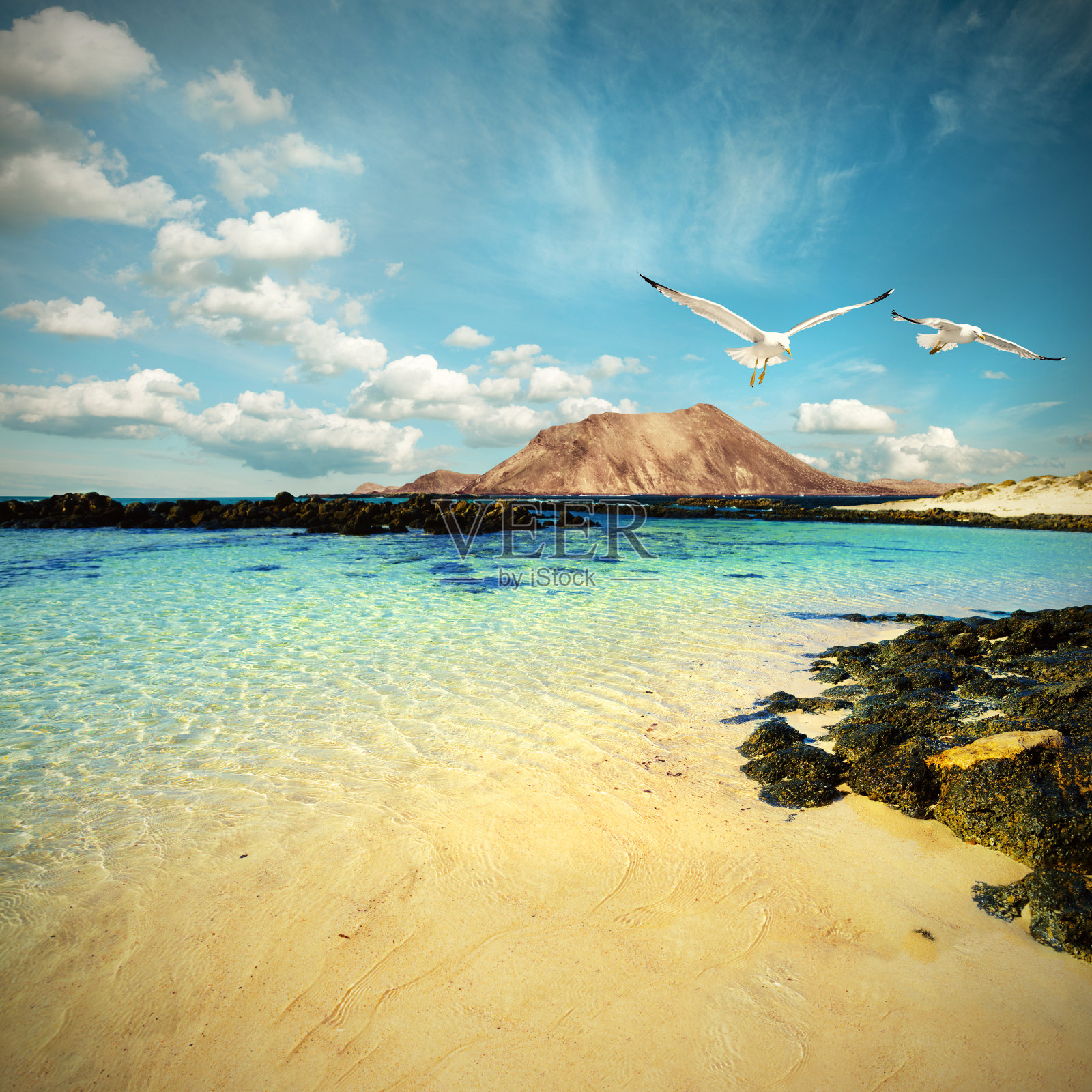 富埃特文图拉的狂野海滩，带点色彩照片摄影图片