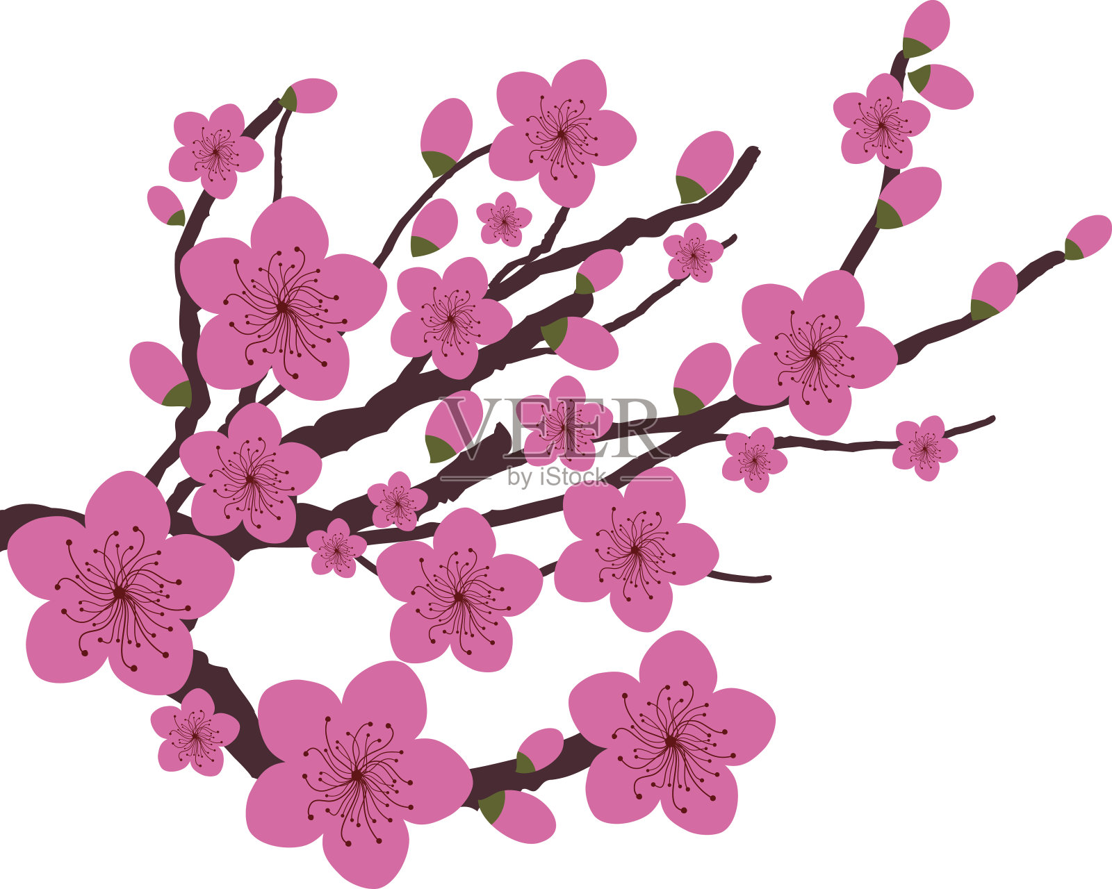 日本的梅花设计元素图片