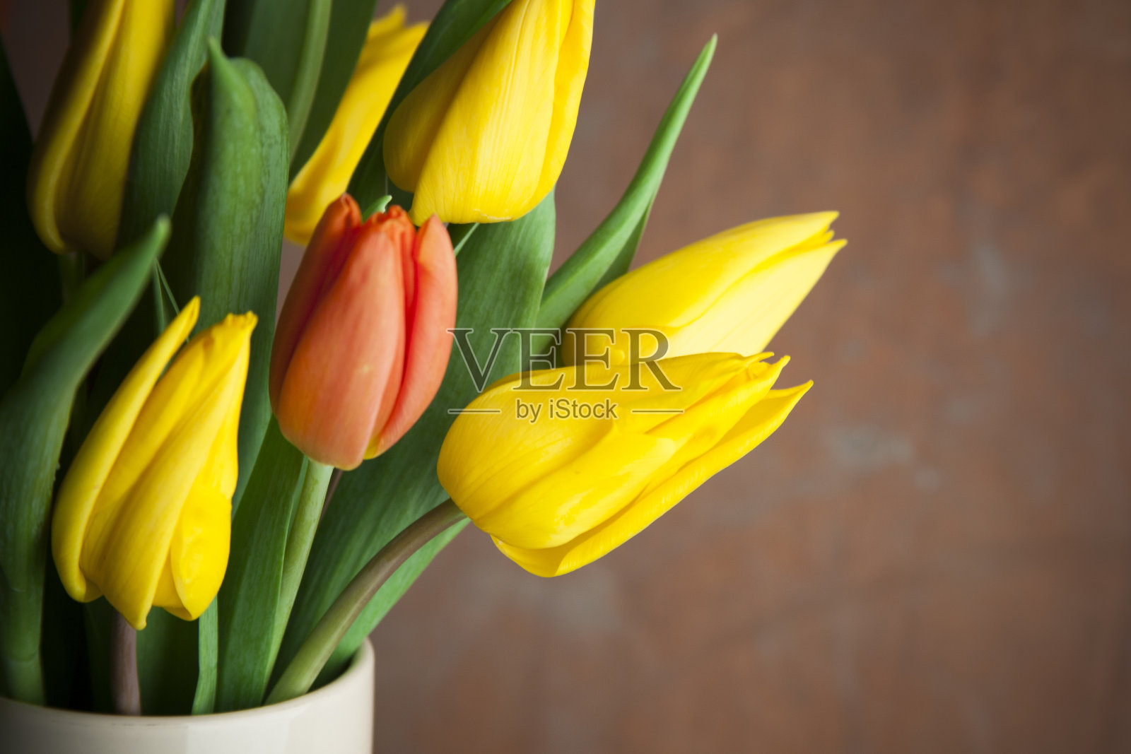一朵红色的郁金香插在一个黄色郁金香的花瓶里照片摄影图片