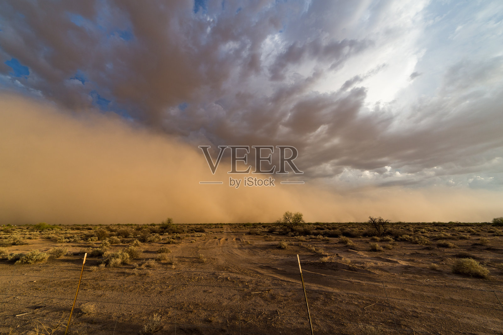 亚利桑那州凤凰城季风尘暴照片摄影图片