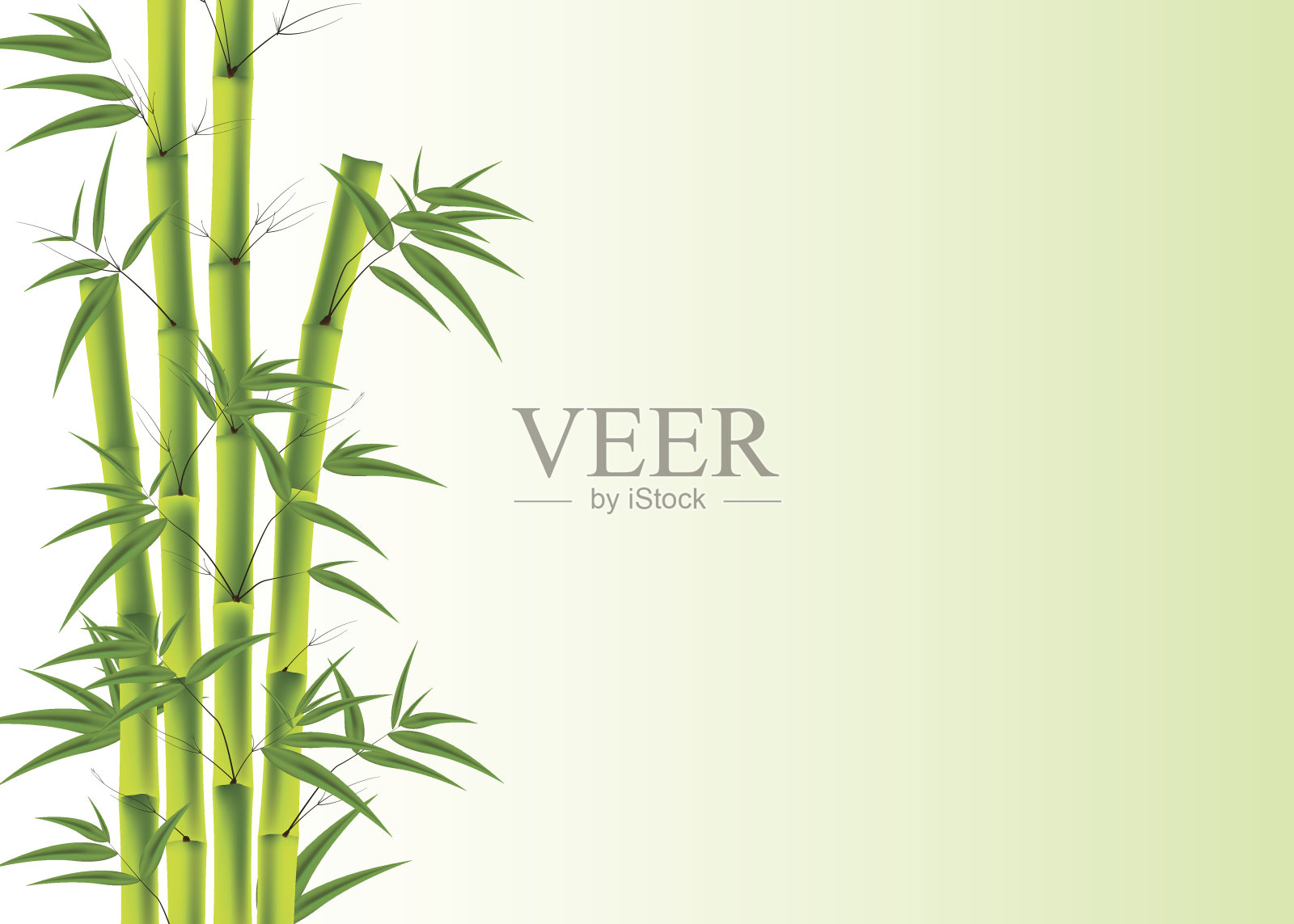 绿色的竹子背景设计元素图片