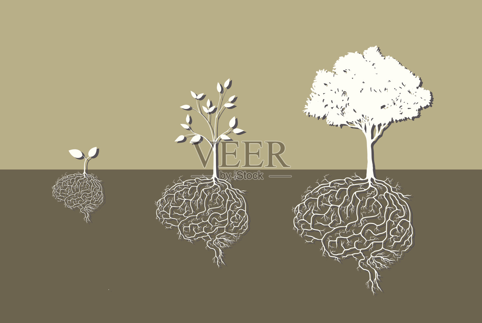树用脑根，向量插画图片素材
