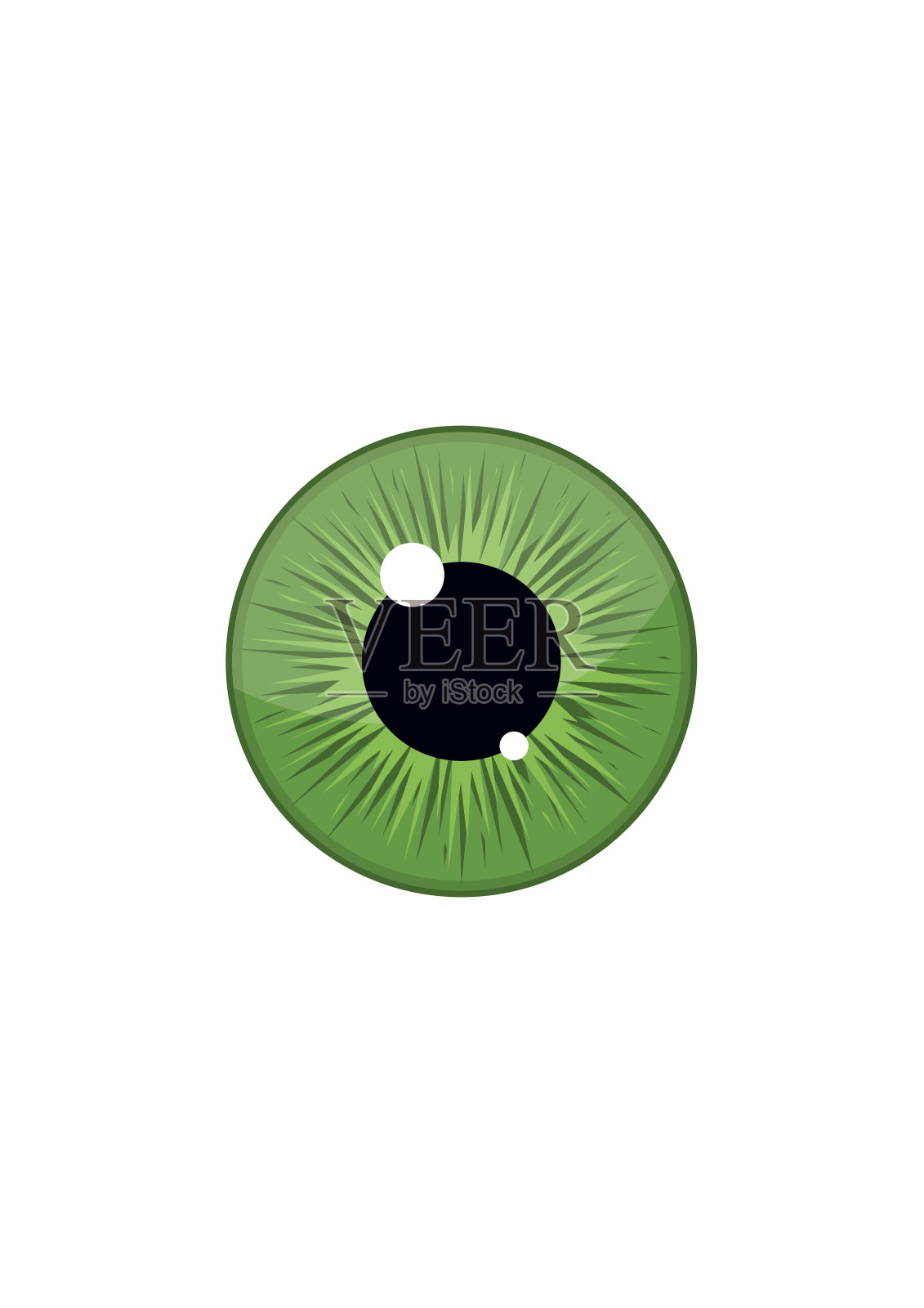 人的绿色眼球虹膜瞳孔孤立在白色背景上。眼睛设计元素图片