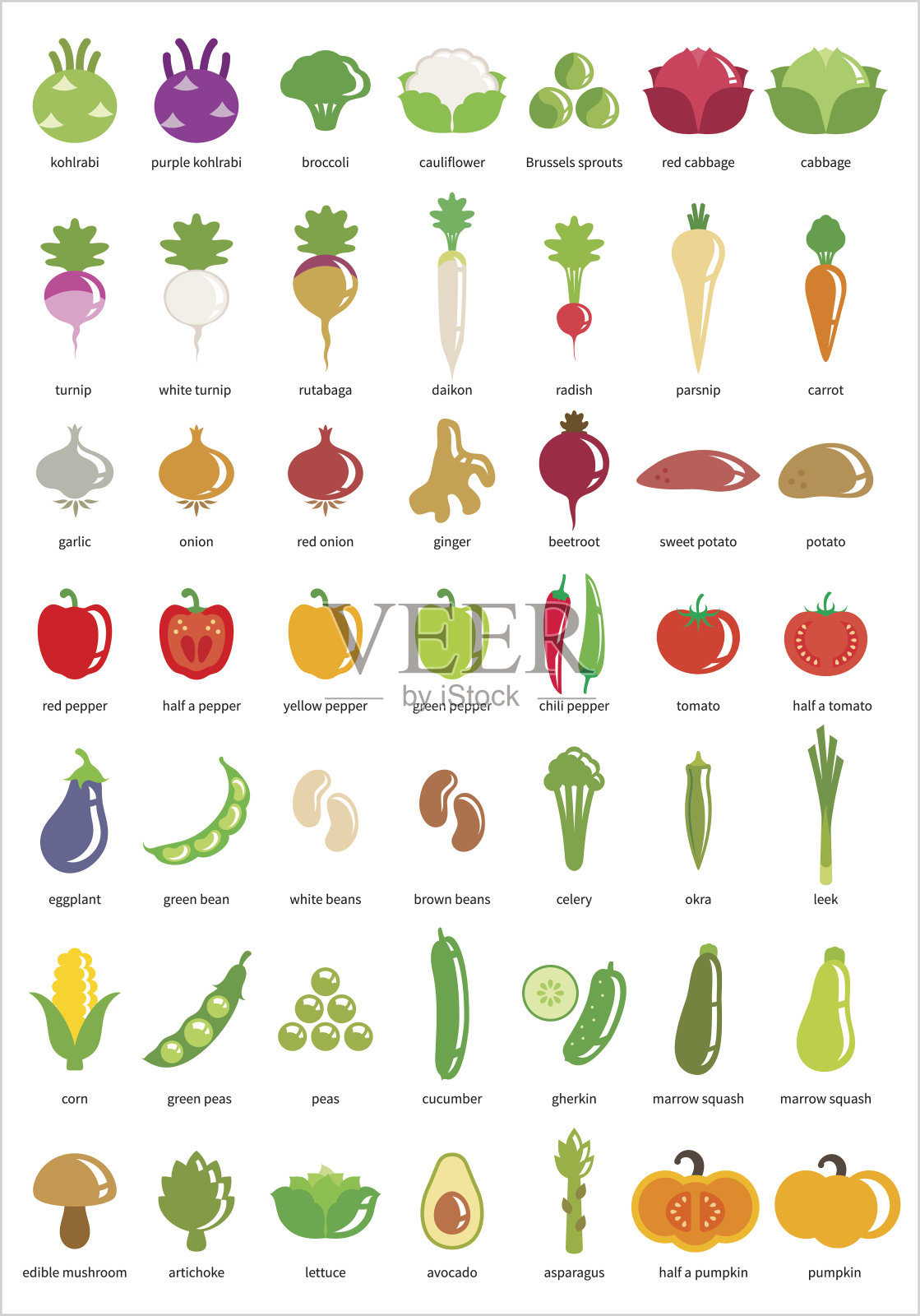 蔬菜图标- 49个矢量图标的大集合插画图片素材