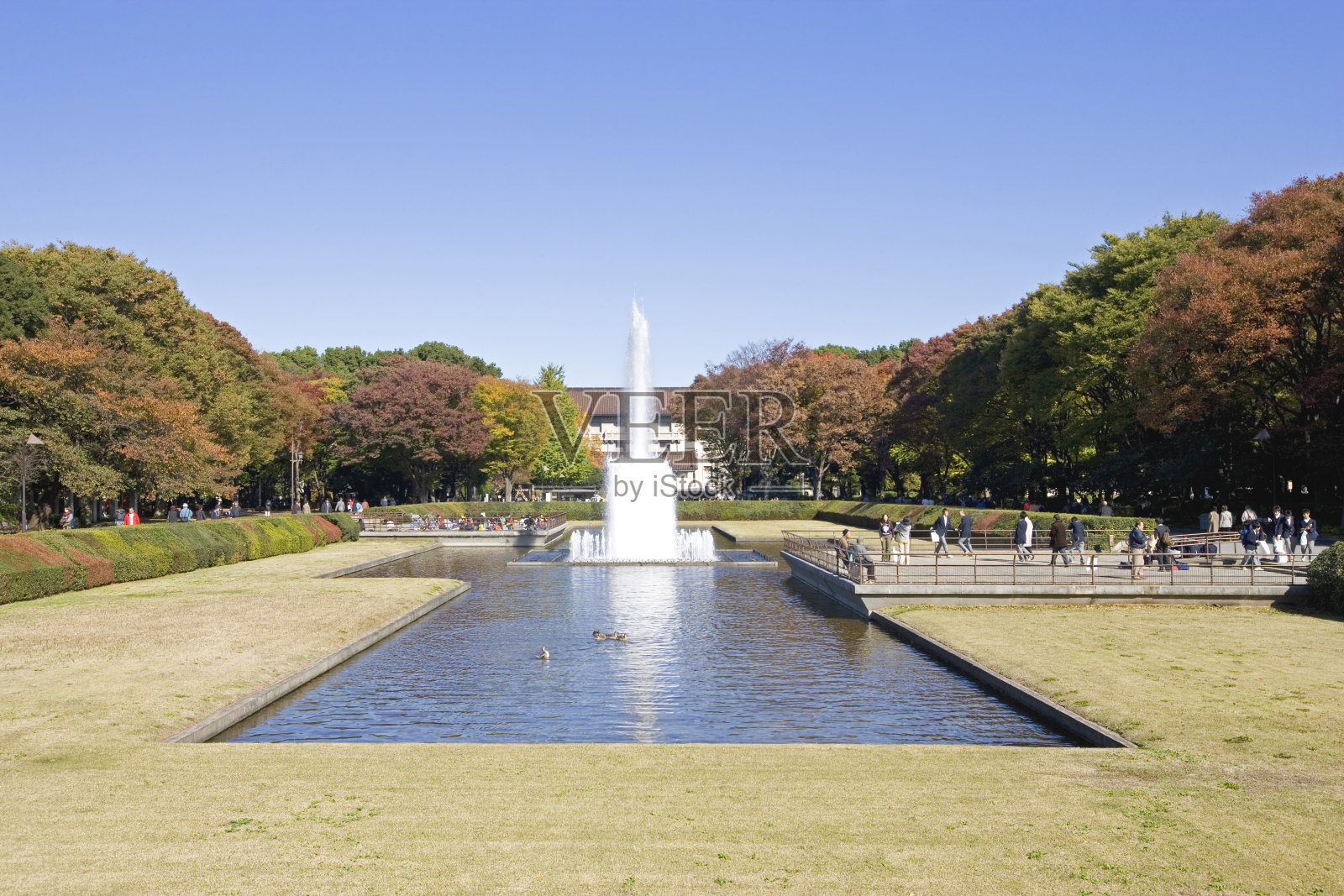 秋天的上野公园照片摄影图片