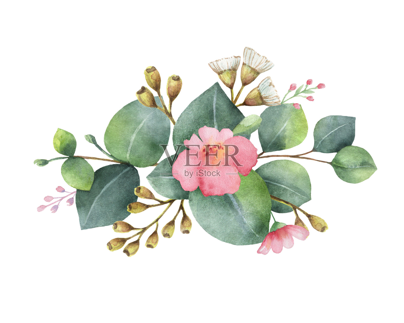 水彩手绘花束与绿色桉树和粉红色的花。插画图片素材