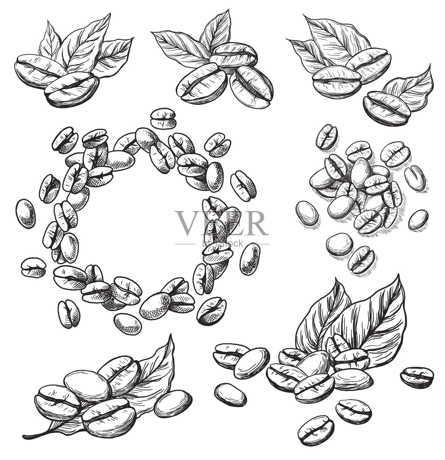 咖啡颗粒和树叶插画图片素材