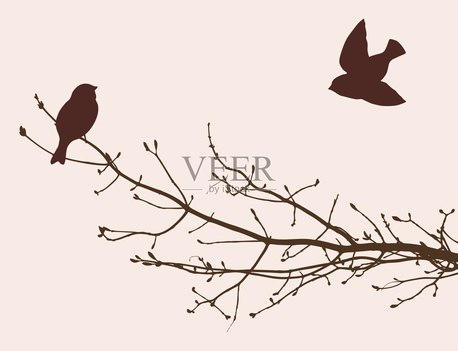 鸟在春天的季节设计元素图片