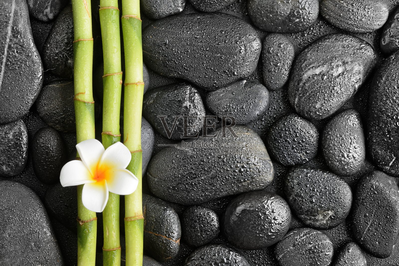 玄武岩禅宗石头，鸡蛋花和竹子在黑色的背景照片摄影图片