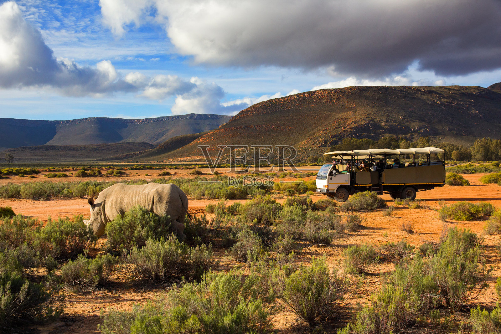 狩猎卡车和野生犀牛在南非西开普照片摄影图片