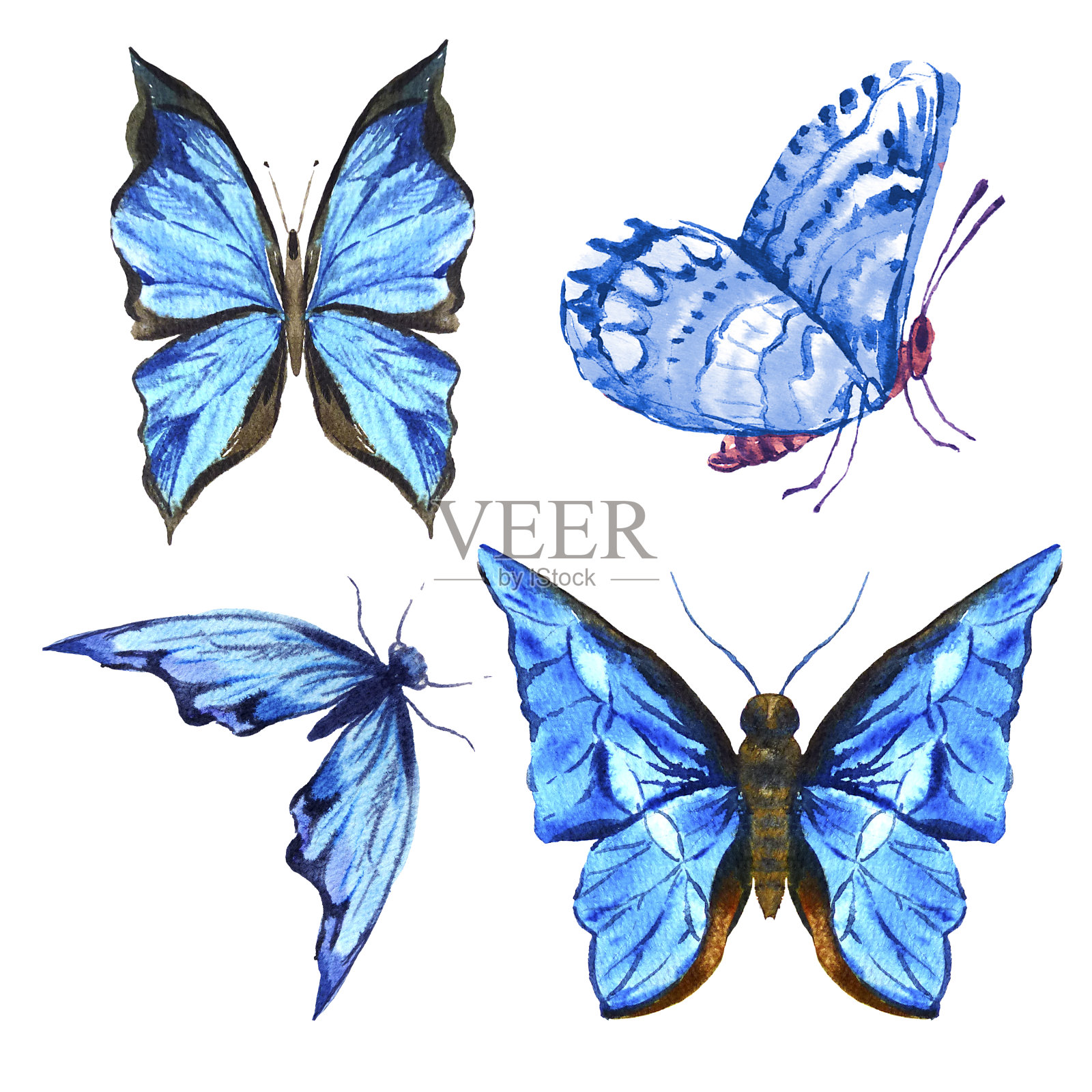 一套美丽的蓝色五彩缤纷的夏季水彩蝴蝶设计元素图片