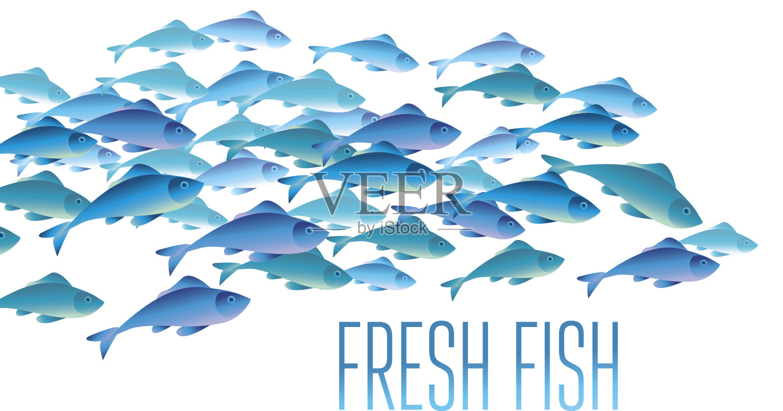 新鲜的鱼矢量插图组头部，网页，打印，卡片和邀请。大量的鲱鱼或鳕鱼在海水中游动。设计元素图片
