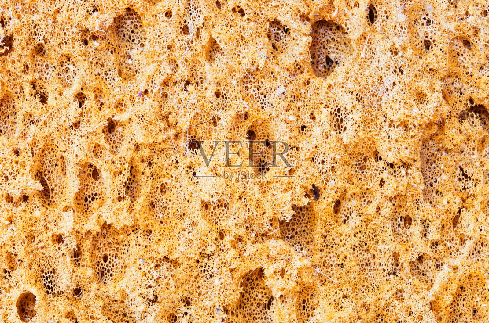 肮脏的天然海绵的极端特写照片摄影图片